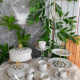 Coffee Cup Set 6 pieces 